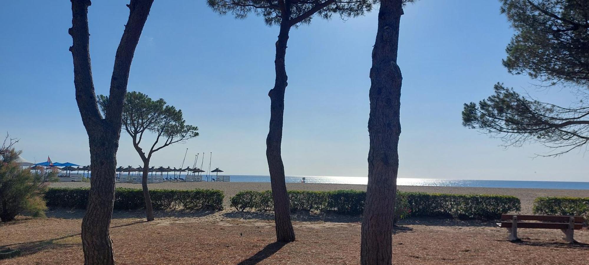 Sur La Plage, Super Studio Avec Vue Sur La Mer Plage d'Argeles Exterior photo